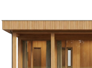 ДЗЕНИМАЛИЗМ