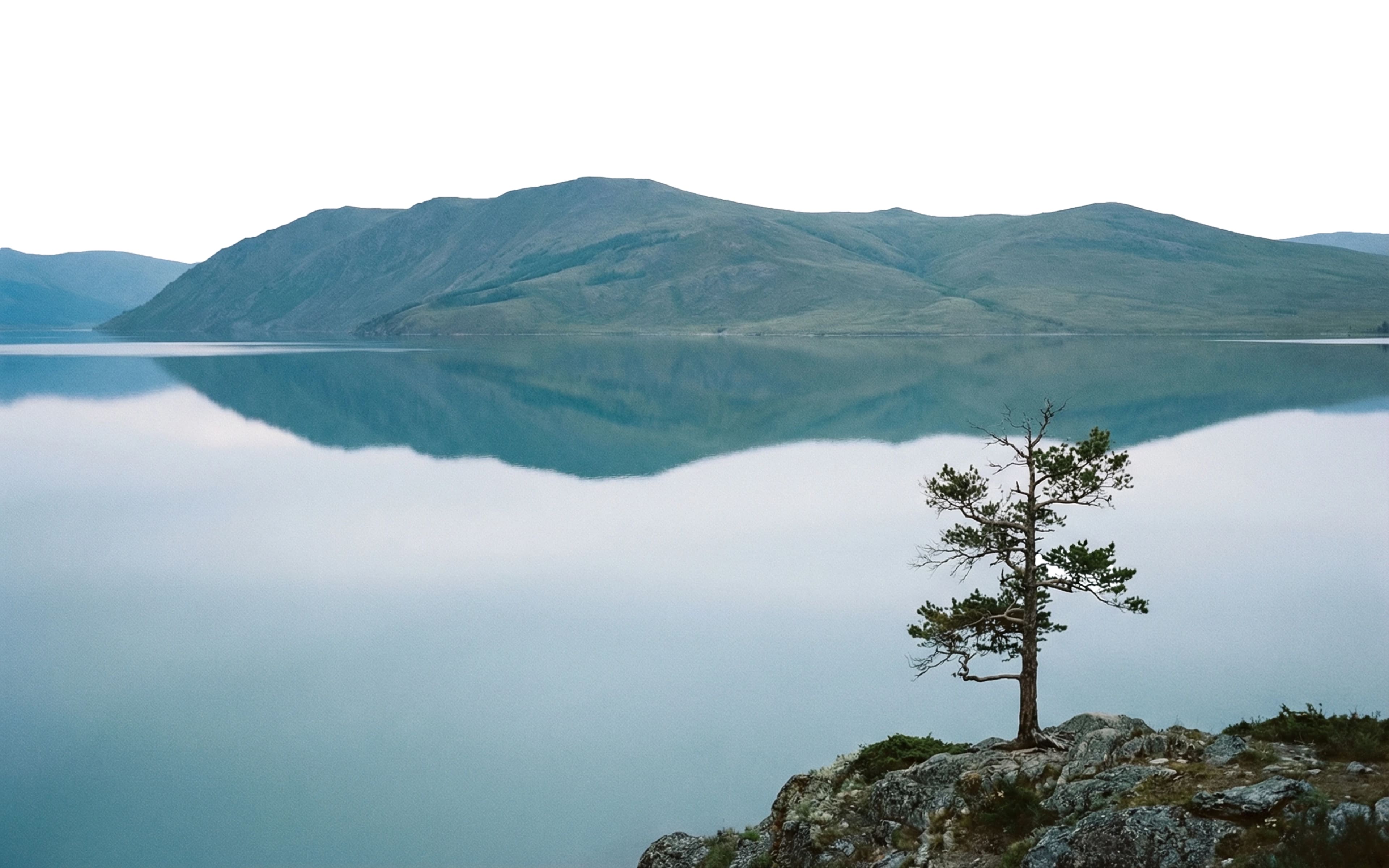 КОМПЕТЕНЦИИ